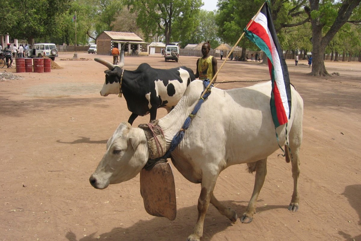Okse med Sør-Sudans flagg, 1200 x 800.JPG