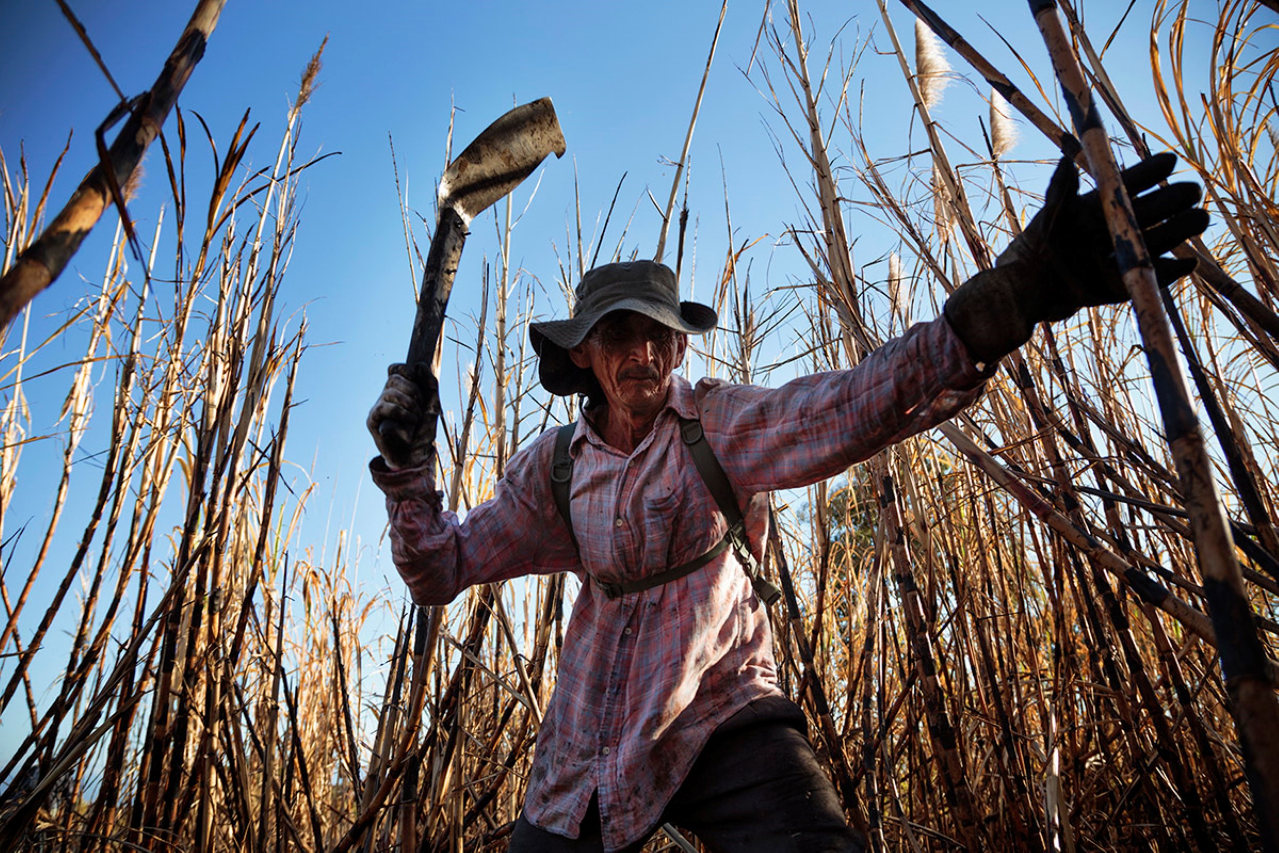 © Ed Kashi/VII   VII, Ed Kashi, Color Photograph, La Isla Foundation, LIF, La Isla, Solidaridad, Sugarcane, Sugar Cane, Cane Workers, Labor, Workers, Kidney Disease, CKDu, CKDnT, Chronic Kidney Disease, Epidemic, Illness, Health, Healthcare, Cane Field, Sugar Cane Workers, Cane Cutters, Farm, Manual Labor, Agriculture, Food, Sugar, 2015, Sick, Ill Dying, Death, Pain, Injustice, Social, Human Rights, Health Issue, Sickly, Island of Widows, Central America, Outdoors, Outdoor, Exterior, Outside, El Salvador, WE Program, El Angel Sugar Mill, Suchitoto, Change, Positive Change, Water, Rest, Shade, Men, Group, Early, Morning, Practices, Improvement, Field, Sugarcane Field, Hat, Camelback, Camelbak, Water Carrier, Water Jug, Drink, Hydrate, Fluid, Back Pack, Watter Bottle, Hydration, Help, NGO, Aid, Man, Male, Blade, Machete, Sun, Cut, Whack, Beam, Bright, Hope, Hopeful, Forward, Moving Forward, Progress, Stoic, Portrait, Handsome, Gloves, Jose Louis Rivas Masario, Tough, Older, Dirty, Charred, Flannel, Plaid, Wrinkles, Scary, Fierce, Intense, Intensity, Fields, Burnt, Burned, Working, Cut Down, Light, Looking Up, Upward Angle, Hard Work, Intensive, Action, Active, Motino, Menacing