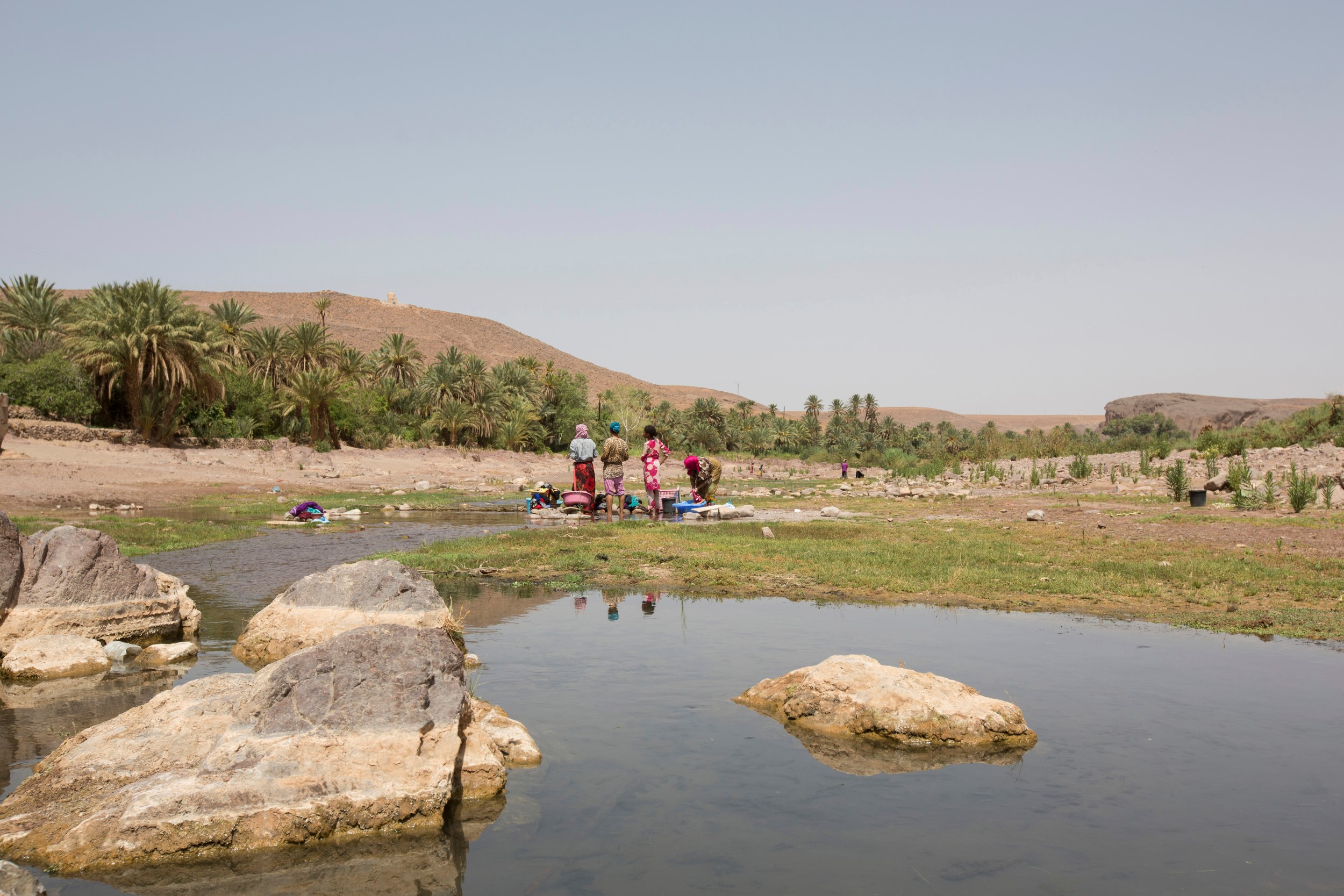 Africa, Morocco, Oasis of Fint, Oasis