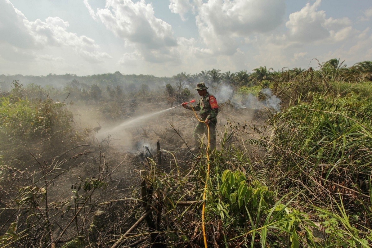 Militære mannskaper slokker brann i Riau på Sumatra 11. juli 2019