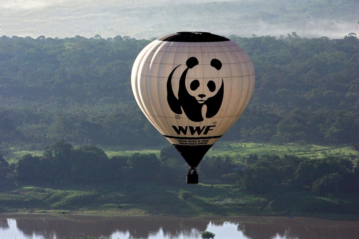 Varmluftballong med WWF-logo over Amazonas