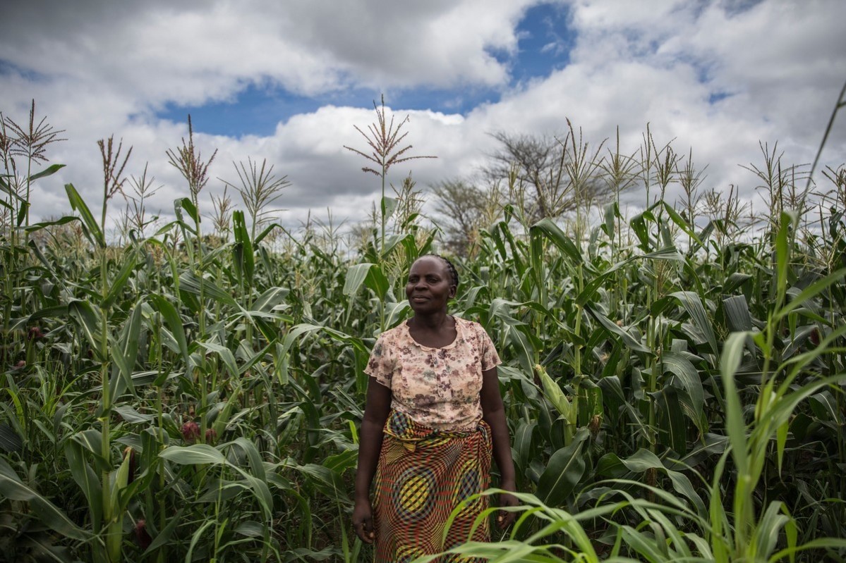 Imelda Hicoombolwa, bonde i Zambia foran maisåkeren