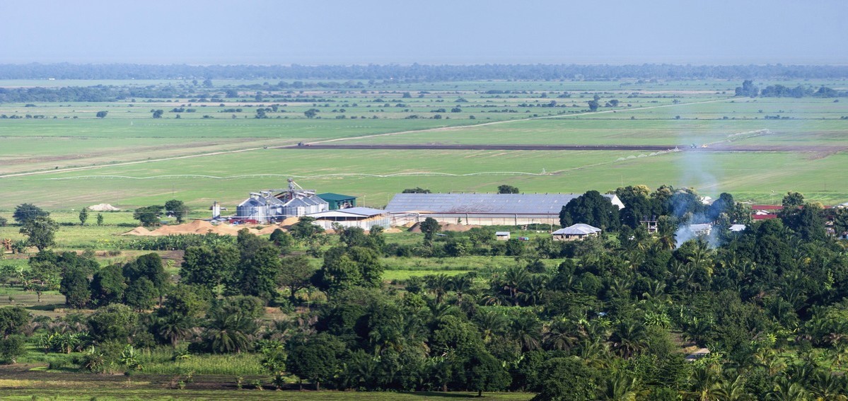 KPL-plantasjen, Kilombero, Tanzania.