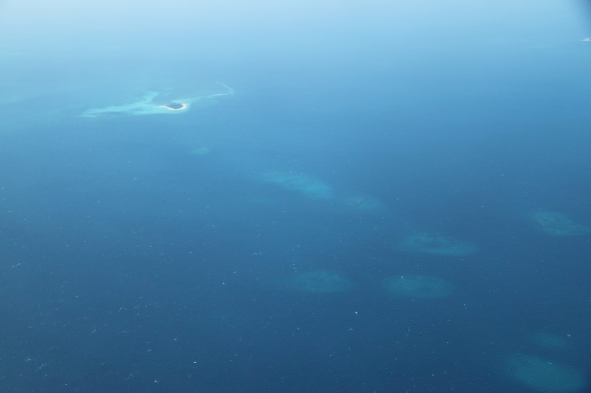 Farvannet rundt Mafia Island er rikt på korallrev som ligger rett under havoverflaten.
