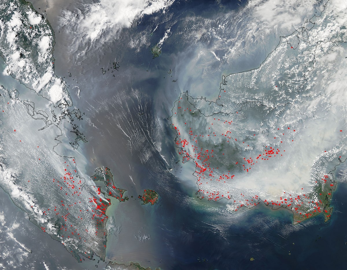 Satellittbilde skogbranner Borneo og Sumatra