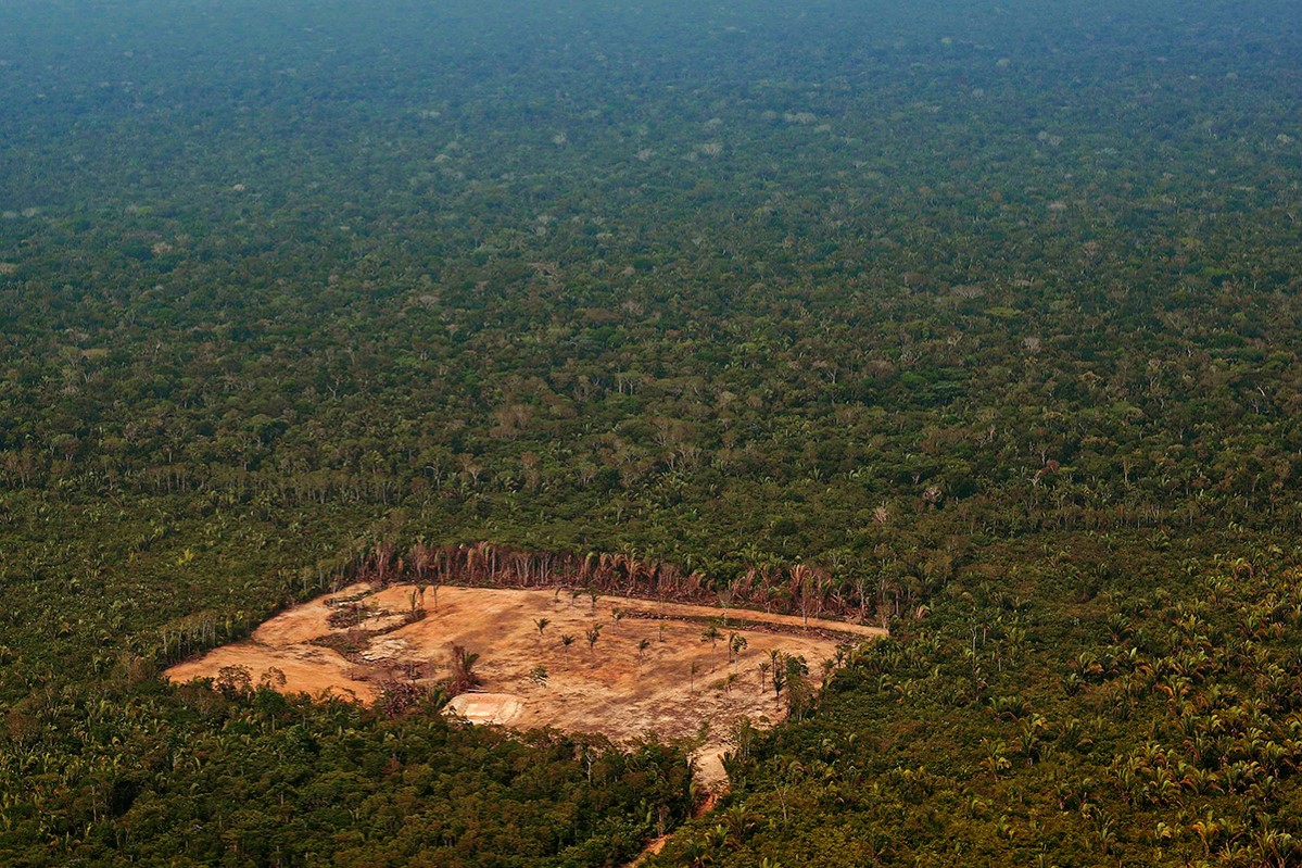 Horizontal, AMAZONIAN FOREST, AERIAL VIEW, ILLUSTRATION, DEFORESTATION, FOREST, ENVIRONMENT, AMAZONIA