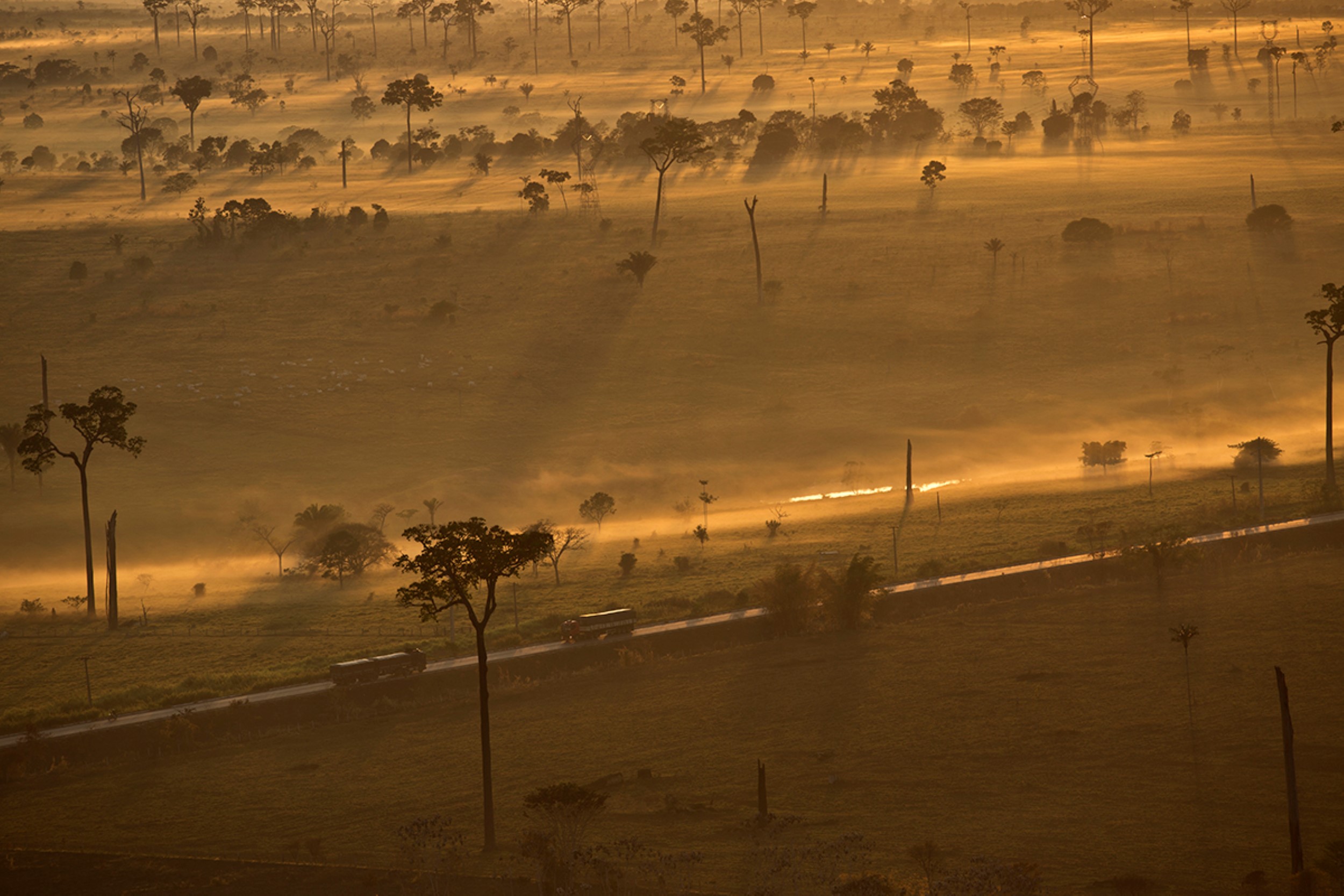 ©Dado Galdieri  South America, Brazil, Acre, Environment, Amazon, Rainforest, Aerials, South America, Brazil, Acre, Environment, Amazon, Rainforest, Ae