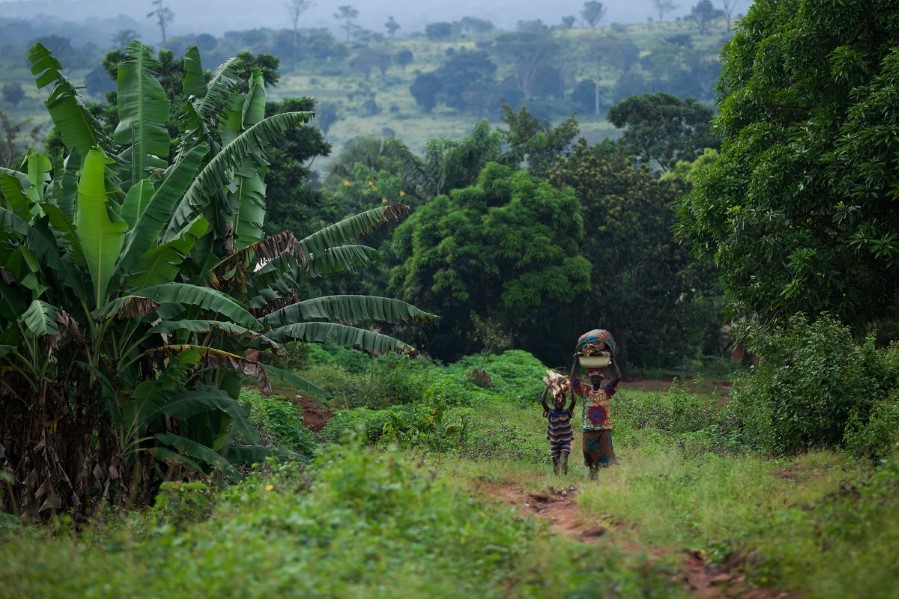 To mennesker går gjennom skog utenfor byen Carnot, Den sentralafrikanske republikk