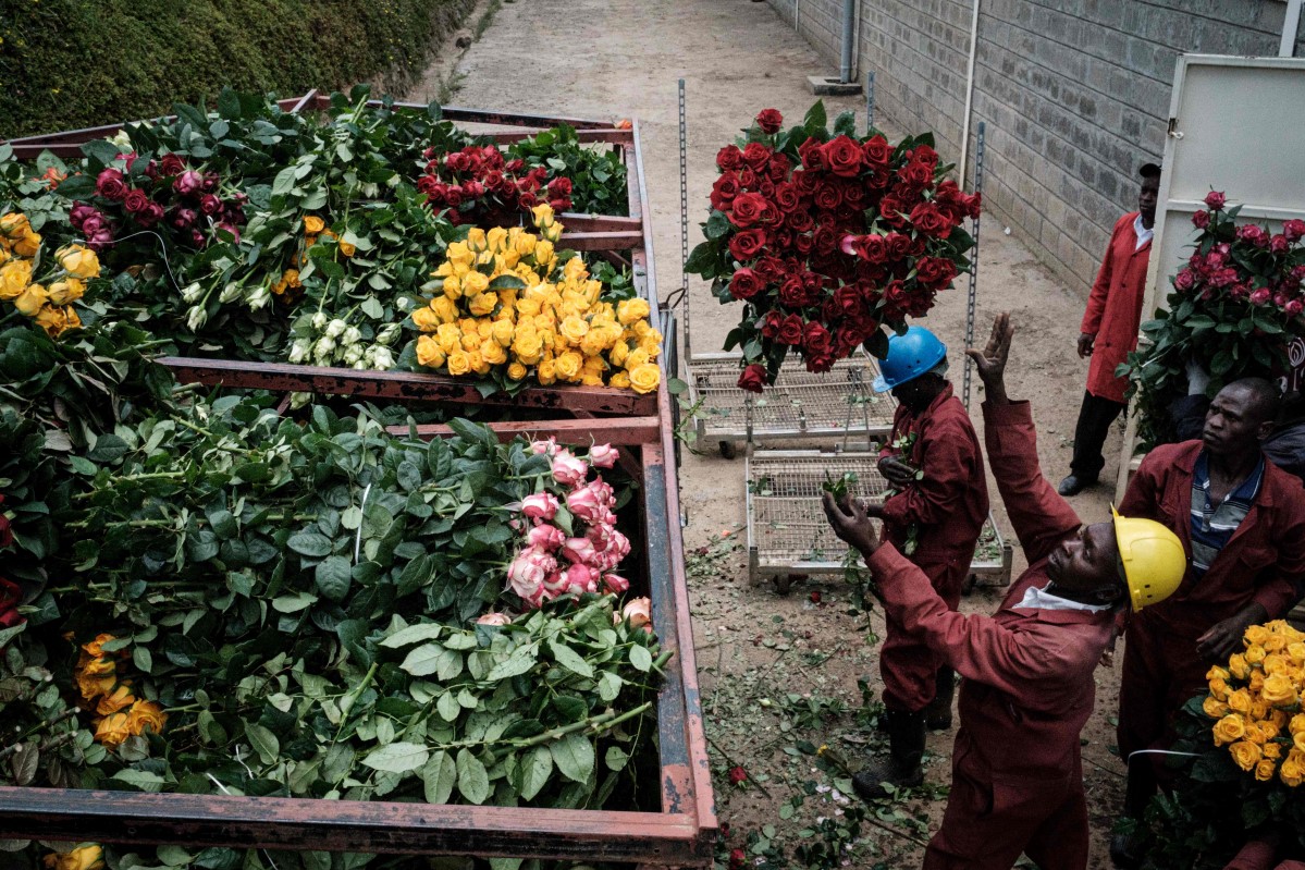 FOTO: YASUYOSHI CHIBA. AFP or licensors  TOPSHOTS, Horizontal, exports, health, economy, virus